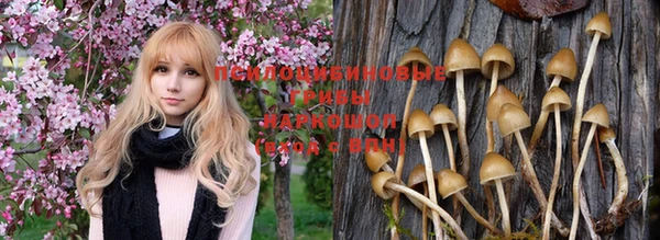 метадон Абаза